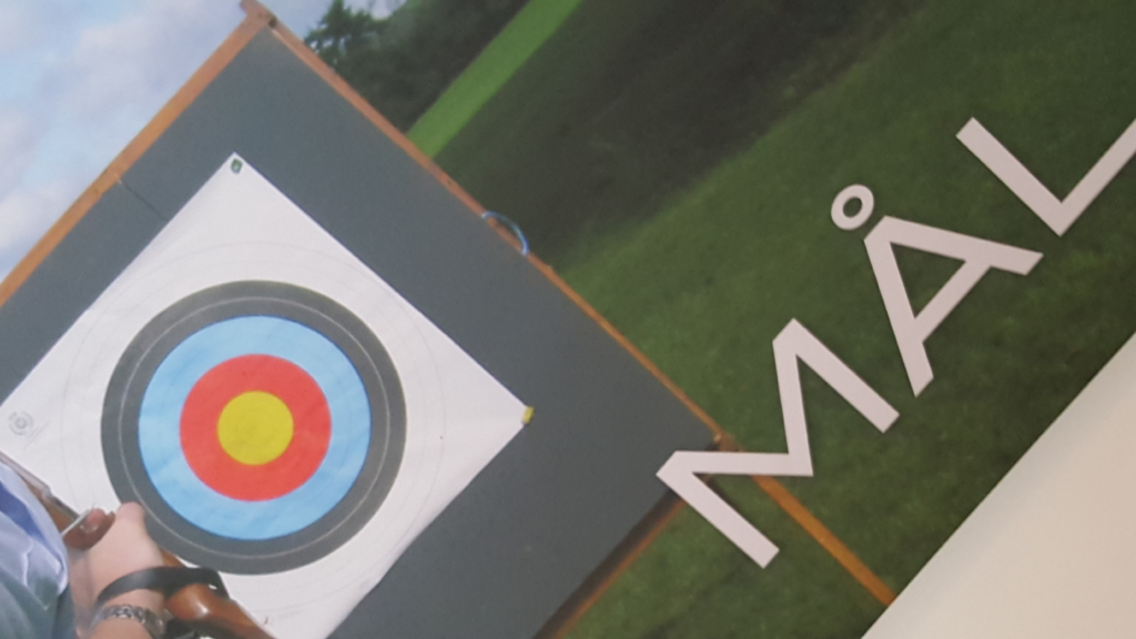 hur jobbar ni operativt med målsättningar ?